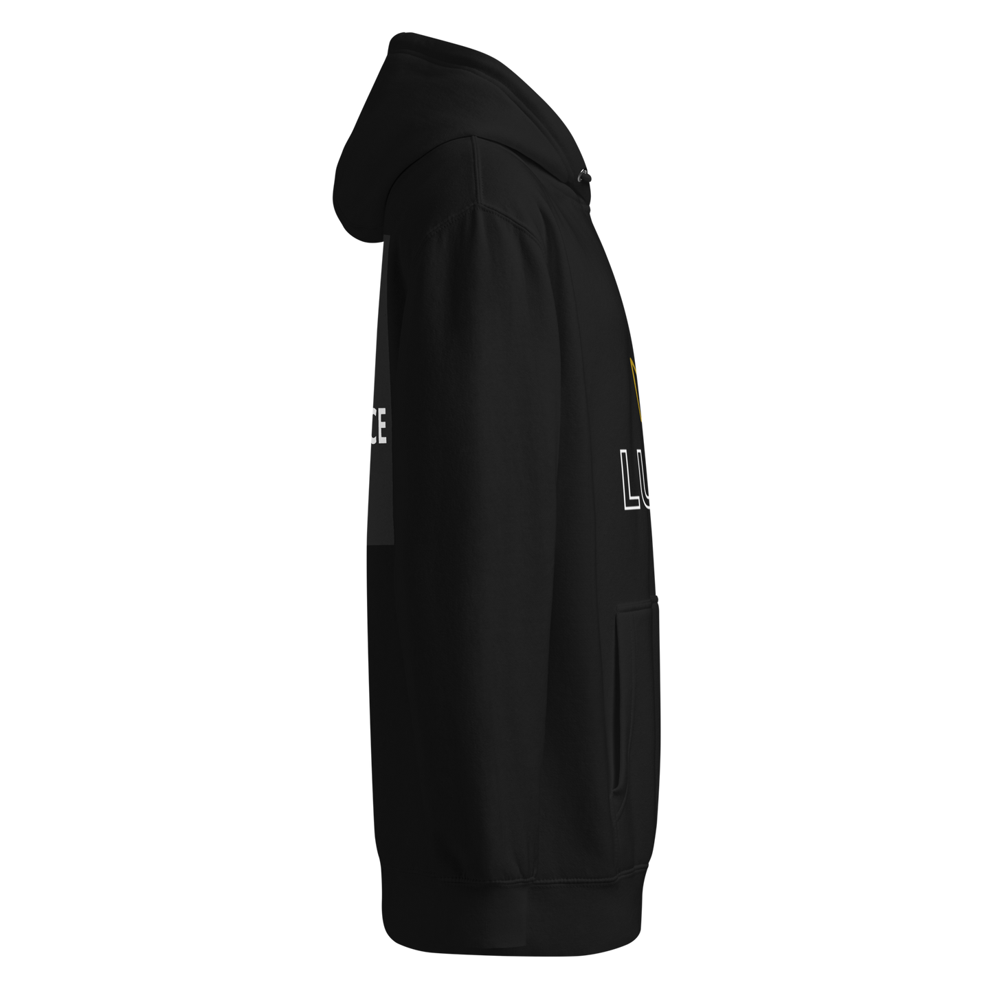 Motivational Hoodie  LUX 07